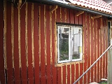 IMG_0749