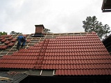 IMG_0458