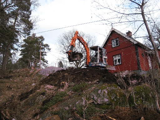 IMG_0334.JPG - Herre på täppan!