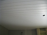 IMG_1293