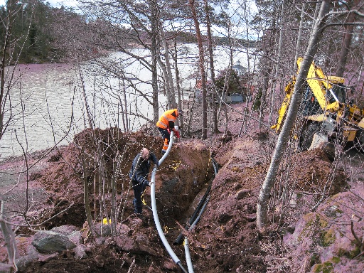 IMG_0329.JPG - Bäst att isolera dem ifrån varandra